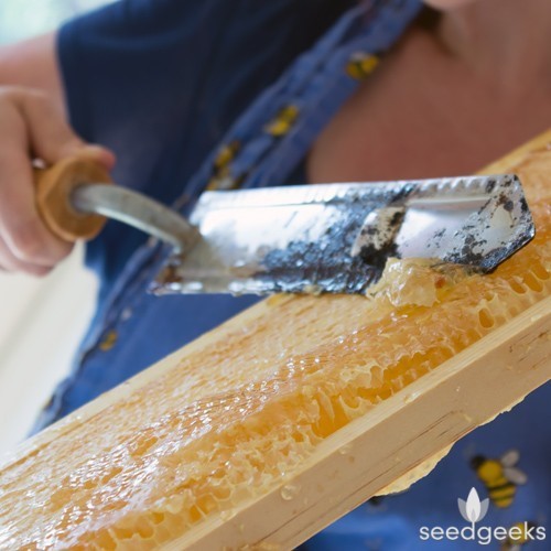  Shelf Life Of Raw Honey Saint Thomas MO
